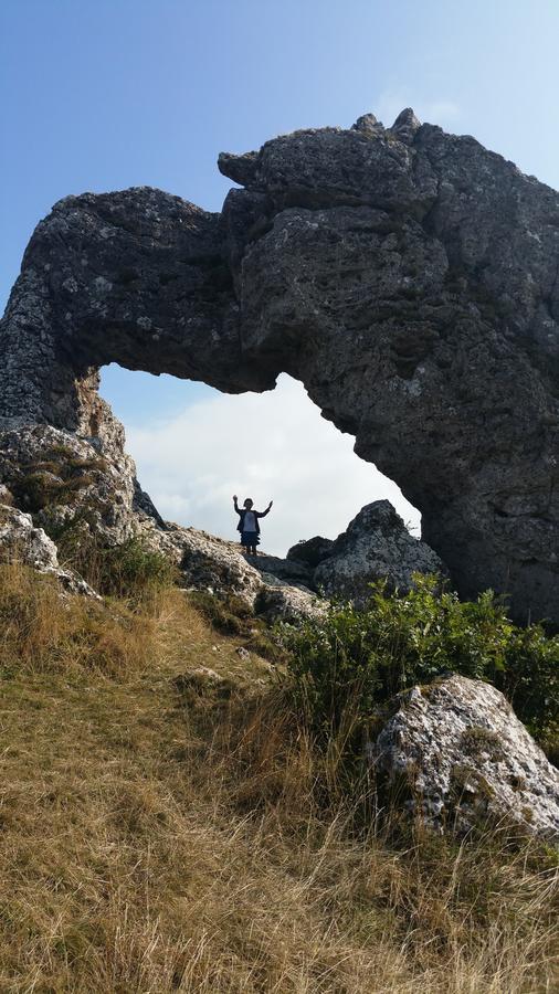 מלון Saint-Christophe-en-Oisans Le Relais Des Ecrins מראה חיצוני תמונה