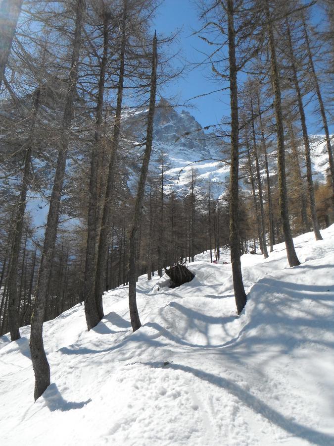 מלון Saint-Christophe-en-Oisans Le Relais Des Ecrins מראה חיצוני תמונה